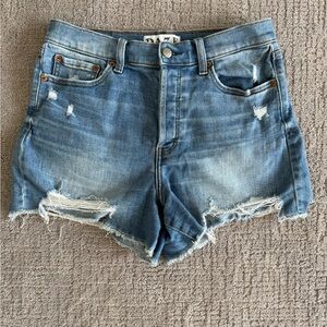 DAZE Bottom Line High Rise Vintage Short in Wishes Size 30 distressed
